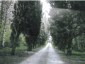 In vendita ad Assisi, in provincia di Perugia in Umbria, azienda agricola