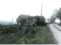 In vendita ad Assisi, in provincia di Perugia in Umbria, azienda agricola