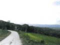 In vendita ad Assisi, in provincia di Perugia in Umbria, azienda agricola