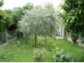 Vendesi casa indipendente a Bastia Umbra, in provincia di Perugia in Umbria