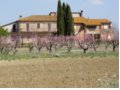 vendesi casa ristrutturata bettona