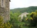 vendesi ruderi e terreno a bettona in provincia di perugia in umbria