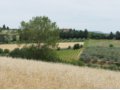 Vendesi terreno edificabile a Brufa, in provincia di Perugia in Umbria