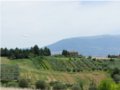 Vendesi terreno edificabile a Brufa, in provincia di Perugia in Umbria