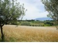 Vendesi terreno edificabile a Brufa, in provincia di Perugia in Umbria