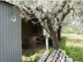 Vendesi terreno edificabile a Brufa, in provincia di Perugia in Umbria