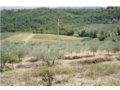 vendesi azienda agraria a cannara in provincia di perugia in umbria