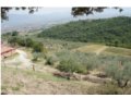 vendesi azienda agraria a cannara in provincia di perugia in umbria