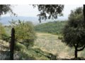 vendesi azienda agraria a cannara in provincia di perugia in umbria