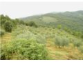 vendesi casa su due livelli a cannara in provincia di perugia in umbria
