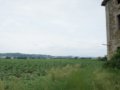 Vendesi casolare e terreno agricolo a Bastia Umbra in provincia di Perugia in Umbria