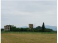 Vendesi casolare e terreno agricolo a Bastia Umbra in provincia di Perugia in Umbria