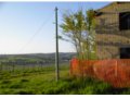 endesi terreno con rudere a montefalco in provincia di perugia in umbria