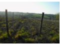 endesi terreno con rudre a montefalco in provincia di perugia in umbria
