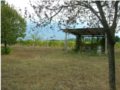 Vendesi casa da ristrutturare a Montefalco