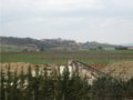 vendesi terreno industriale a bettona in provincia di perugia in umbria