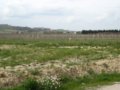 vendesi terreno industriale a bettona in provincia di perugia in umbria