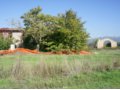 Vendesi a Petrignano casolare con terreno