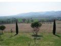 in vendita casale torgiano